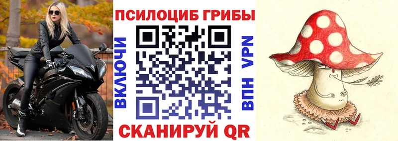 Галлюциногенные грибы мицелий  Агрыз 
